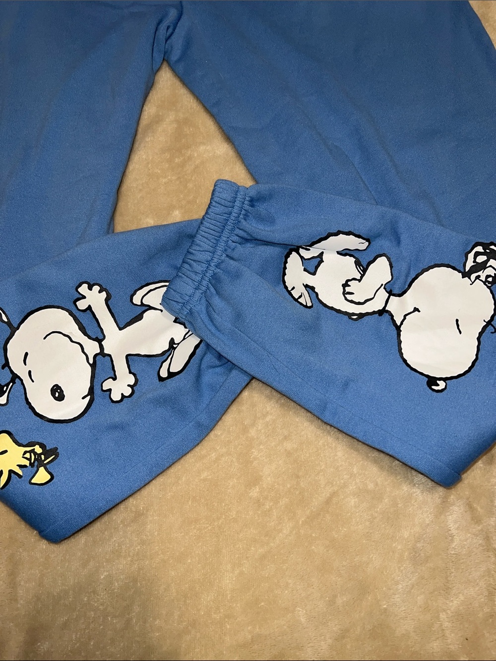 Peanuts Blue Snoopy & Woodstock Track Joggers - Picture 4 of 7